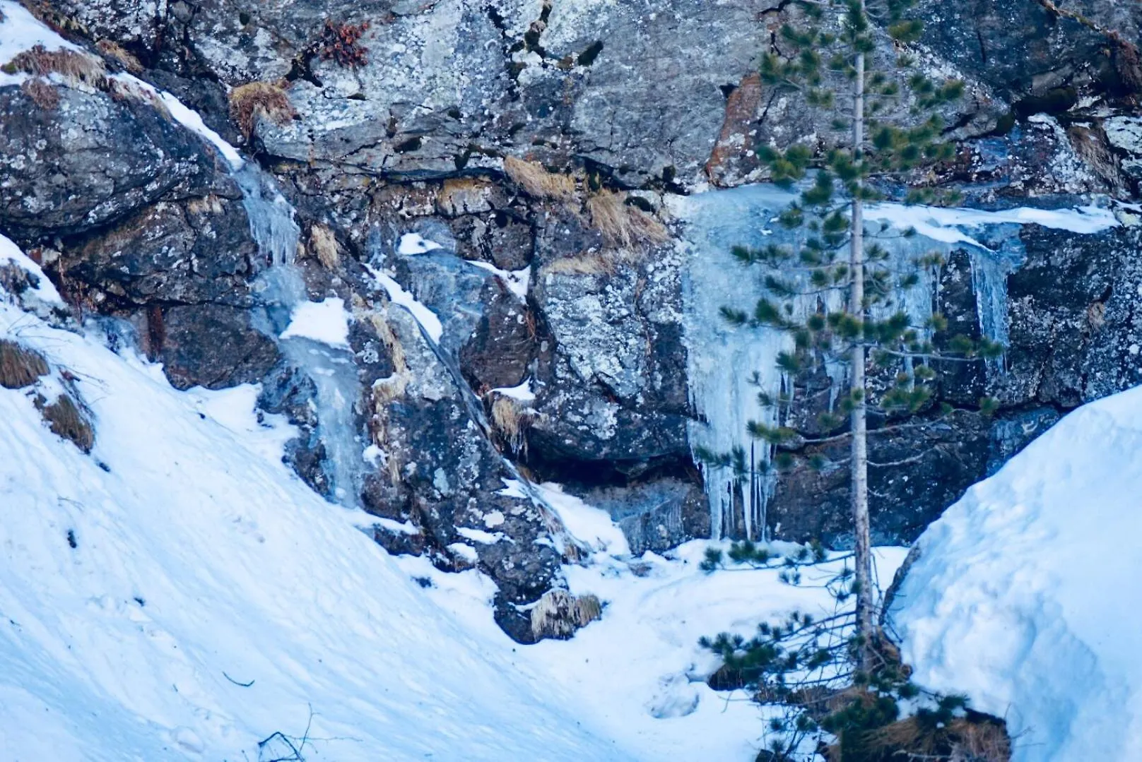 Hotel Chamois D'Or Tende 3*,